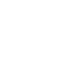 Vision